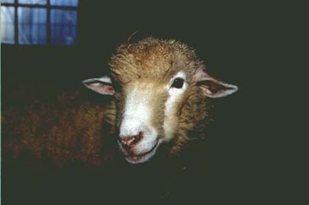 Featured image for “Maude’s Pages: September 2001”